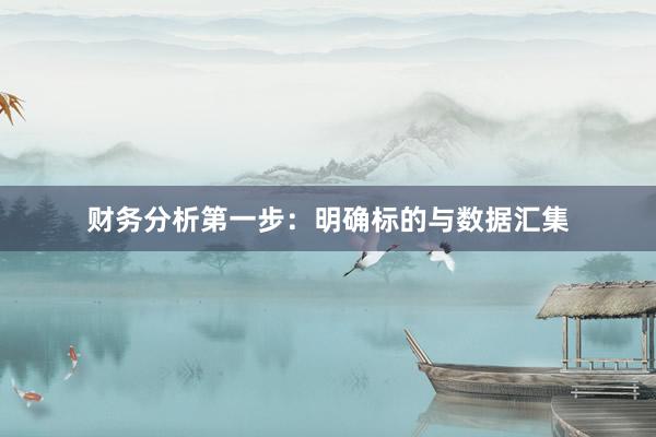 财务分析第一步：明确标的与数据汇集
